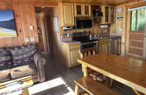 Indian River Cabaña | Sunrise Sunsation Lakeshore Cottage w / jacuzzi al aire libre en el lago Mullett! ¡Kayaks!