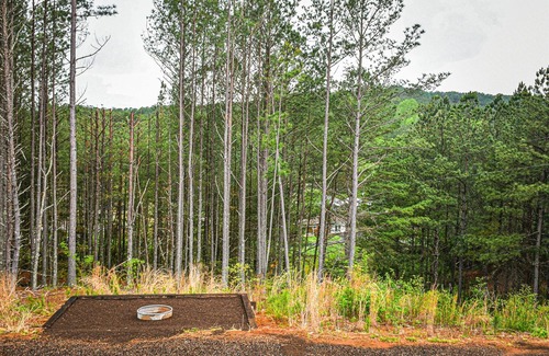 Ducktown Cabina | Sunset Cottage | 1 Bed, 1 Bath | Pet Friendly | Firepit