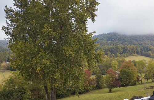 Hayesville Cabina | SUNSET COTTAGE: 1 BR, 1 BA Cabin or Bungalow in Hayesville, Sleeps 4