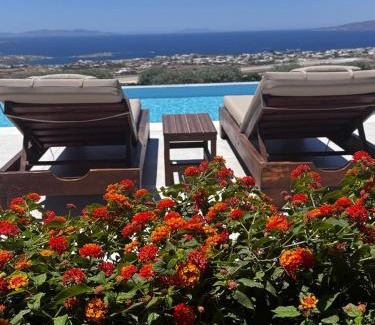 Paraga Cama Y Desayuno | Sunset Hill Suites