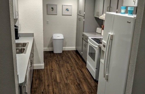 Tarpon Springs Apartamento | Sunset Palms - Acceso directo a apartamentos frente al mar recientemente remodelado al Golfo de México