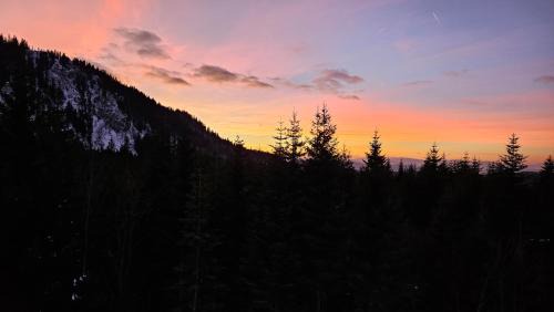 Jahorina Apartamento | Sunset Pines Apt, Villa Mont