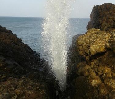 Matara Casa | Sunset Surfing Beach Resort