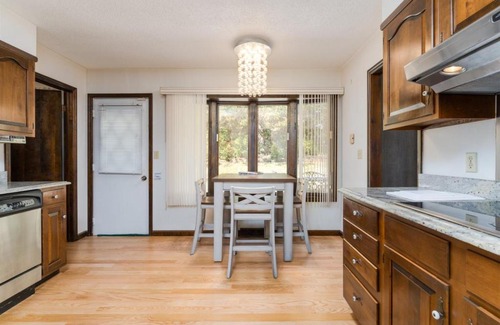Pisgah Forest Casa | Sunshine Daydream