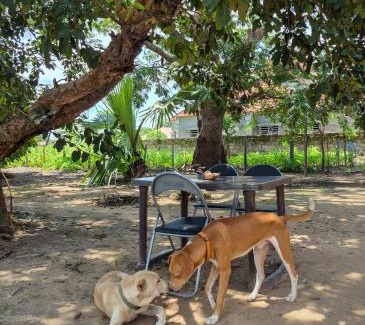 West Coast Division Casa | Sunshine Guesthouse Bafuloto