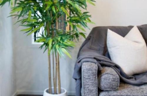 New Brighton Apartamento | Sunsoaked seaside 1 bedroom 1 bath