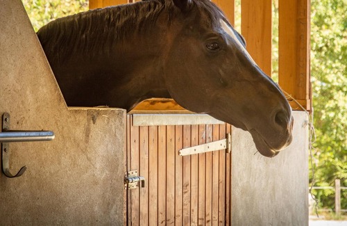Tournon-d'Agenais Villa | Superb luxury manor on stud farm with private swimming pool