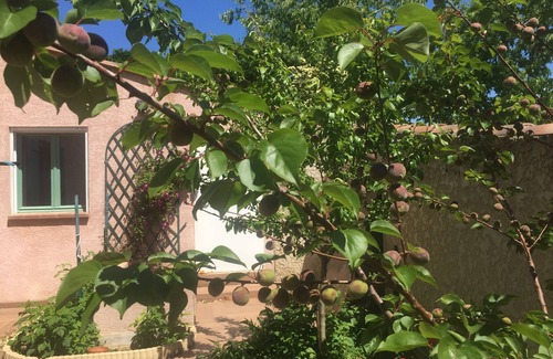 Grans Villa | Superb villa, private pool, poolhouse, garden, quiet ideal for families