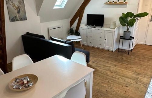 Bagneres-de-Bigorre Apartamento | Superbe appartement mansardé avec mezzanine - proche centre ville, thermes, aquensis