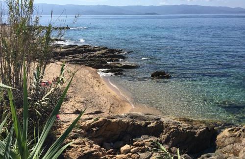 Ajaccio Apartamento | Superbe appartement 3 étoiles Ajaccio début Sanguinaires