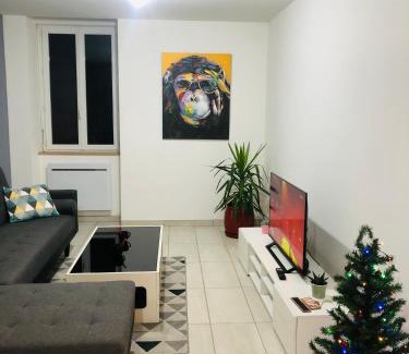 Roanne Apartamento | Superbe appartement