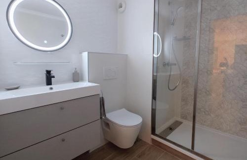 Tonkin Sud Apartamento | Superbe Cosy Duplex Appartement T3 Charpenne Tête D'or avec parking privé gratuit