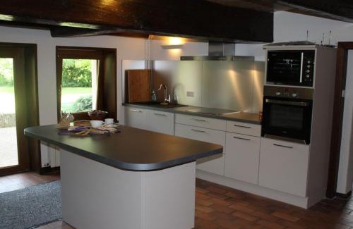 Belmont-sur-Buttant Casa | Superbe Ferme Rénovée avec Cheminée, Wifi, et Jeux Extérieurs près de Gérardmer et Épinal - FR-1-589-28