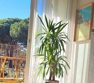 La Petite Motte Apartamento | Superbe studio au calme à 8mn de la plage
