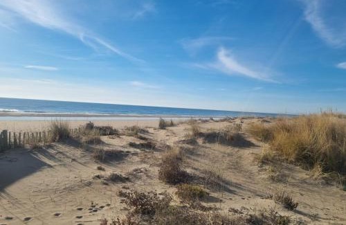 Marseillan Plage Apartamento | Superbe Studio Rénové les pieds dans l'eau!