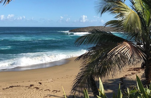 Jobos Apartamento | Surf I Chill I Repeat I Walk to Montones in enchanting Jobos