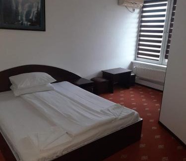 Orastie Hotel | Surianu Events Hotel-Restaurant