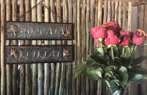 Limpopo-Lipadi Private Game Reserve Cabina | Suricata Retreat