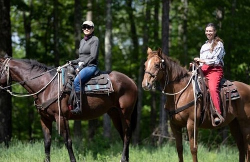 Millerton Otro | Surrounded by Berkshire Mountain Views and Horses Book a trail ride or a lesson