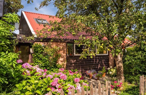 Warmenhuizen Casa | Surroundings Schoorl, Dune and Beach. Cozy house with garden on small park. Dog welcome
