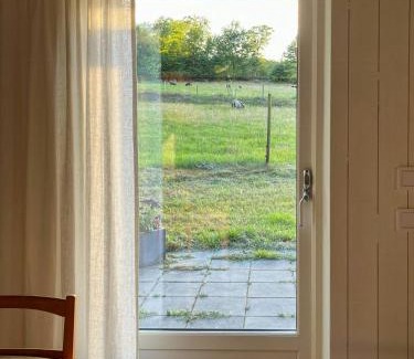 Kivik Casa | Sustainable Cabin In Beech Forest At Mellby Käsk