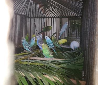 Sosua Apartamento | Susy paradise