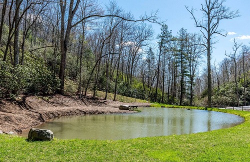 Pisgah Forest Casa | Sutton Knob home with fireplace, central AC, full kitchen, & loft - dog-friendly
