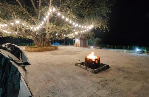 Heggadadevankote Casa | Suvarna Farm Stay