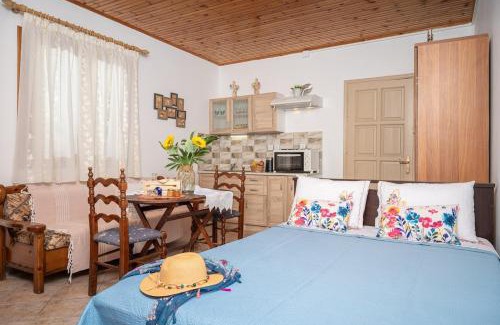 Avlakia Apartamento | Svala SeaView beach house