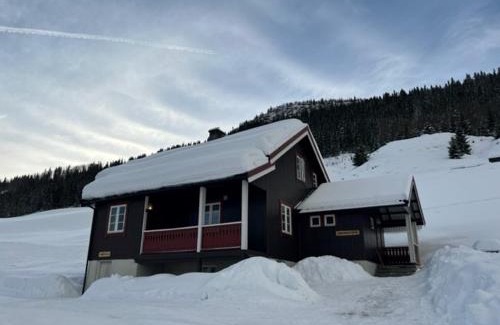 Al Casa | Svarteberg Drengestugu - cabin by Ål skisenter