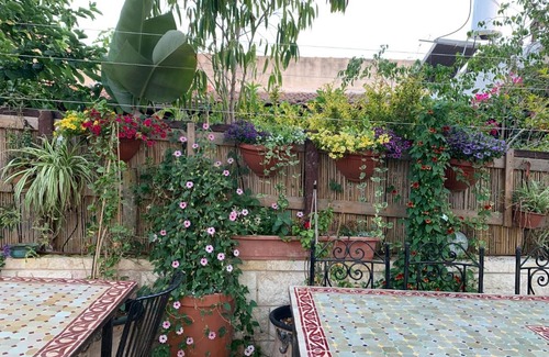 Bat Shlomo Apartamento | Svarzman suite