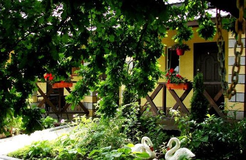 Molodizhne Casa | Svitoch