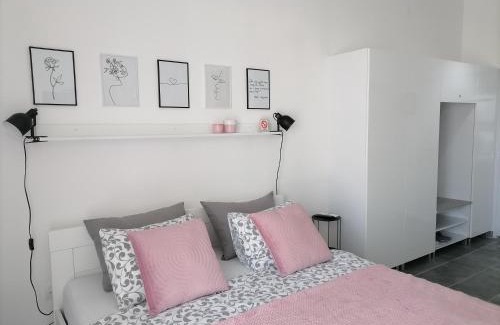 Banja Koviljaca Apartamento | SvjetlanAlex 2