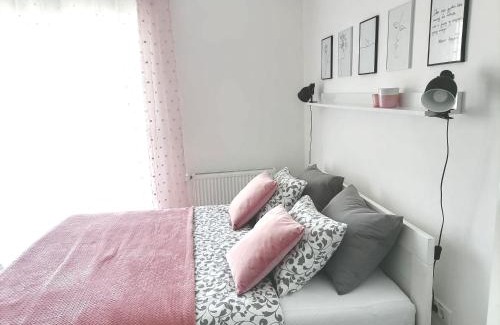 Banja Koviljaca Apartamento | SvjetlanAlex 2