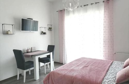 Banja Koviljaca Apartamento | SvjetlanAlex 2