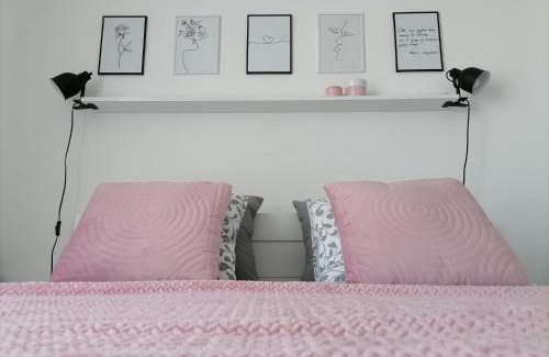 Banja Koviljaca Apartamento | SvjetlanAlex 2