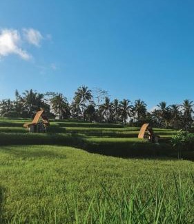Sebatu Otro | Swaha Retreat & Eco Park Ubud