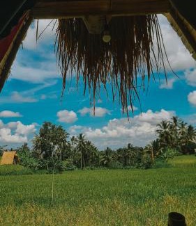 Sebatu Otro | Swaha Retreat & Eco Park Ubud