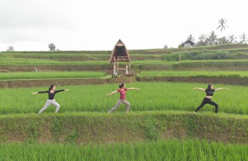 Sebatu Otro | Swaha Retreat & Eco Park Ubud