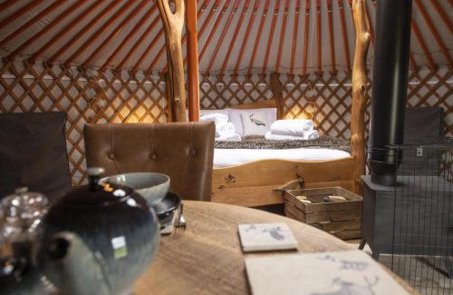 Hawes Casa | Swallow