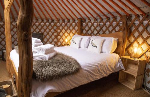 Hawes Casa | Swallow