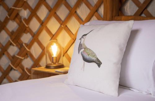 Hawes Casa | Swallow