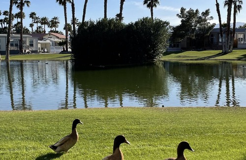 Desert Hot Springs Casa | Swan Lake House and Hot Spring Mineral Pools