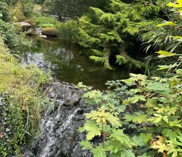 Bont Newydd Apartamento | Swan lake lodge