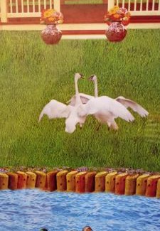 Ad-Dukhaylah Apartamento | Swan Nest