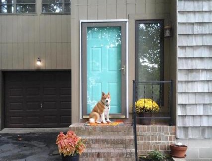 Dewey Beach Casa | Swedes street 201