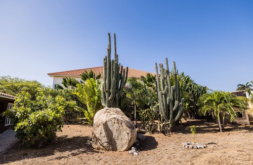 Santa Cruz Casa | sweet chalet in paradise