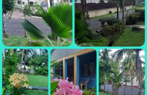 Corn Island Apartamento | Sweet Little Rock