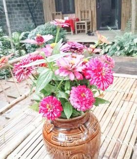 Mai Chau Casa | Sweet Mai Châu Homestay