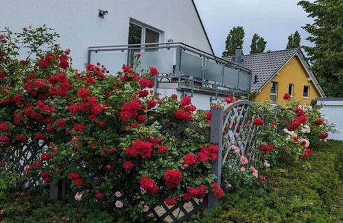 Muritz Alquiler De Eote | Sweet Spot at Fleesensee
